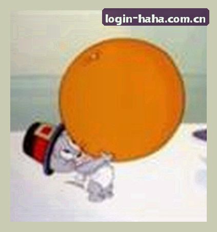 赵公子